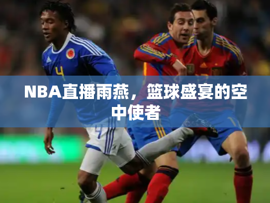NBA直播雨燕，篮球盛宴的空中使者