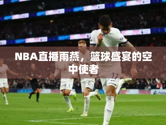 NBA直播雨燕，篮球盛宴的空中使者