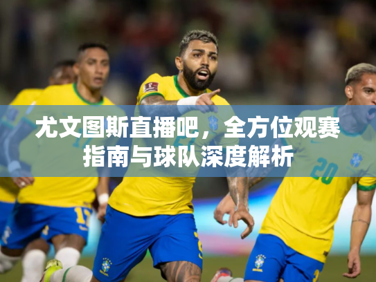 尤文图斯直播吧，全方位观赛指南与球队深度解析