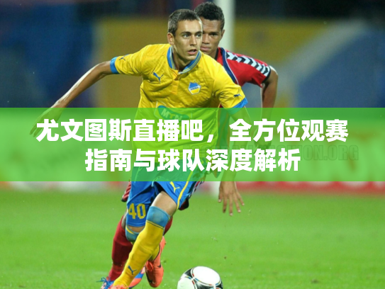 尤文图斯直播吧，全方位观赛指南与球队深度解析