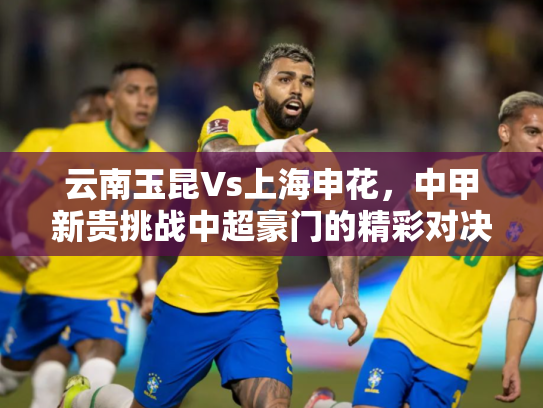云南玉昆Vs上海申花，中甲新贵挑战中超豪门的精彩对决