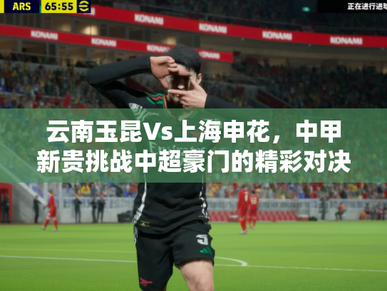 云南玉昆Vs上海申花，中甲新贵挑战中超豪门的精彩对决