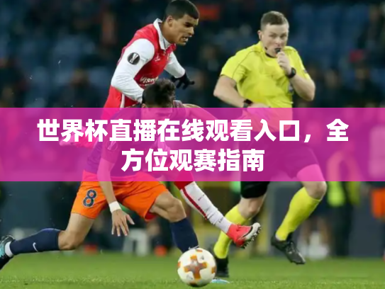 世界杯直播在线观看入口，全方位观赛指南