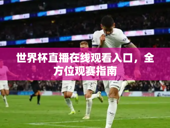 世界杯直播在线观看入口，全方位观赛指南
