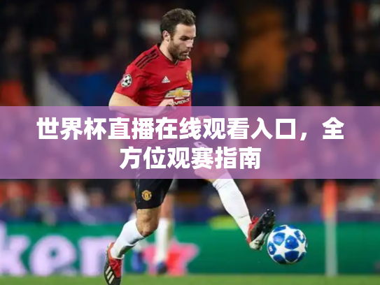 世界杯直播在线观看入口，全方位观赛指南