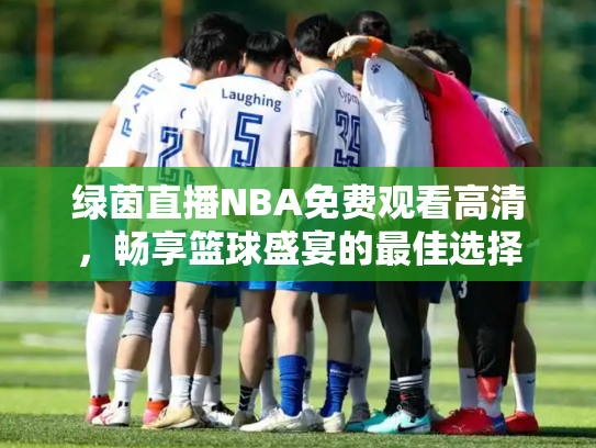 绿茵直播NBA免费观看高清，畅享篮球盛宴的最佳选择