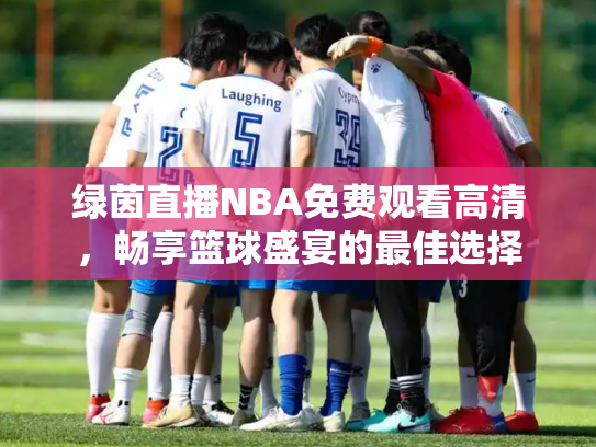 绿茵直播NBA免费观看高清，畅享篮球盛宴的最佳选择