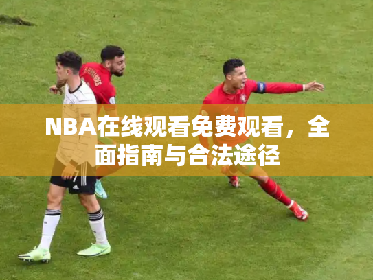 NBA在线观看免费观看，全面指南与合法途径