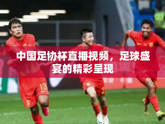 中国足协杯直播视频，足球盛宴的精彩呈现