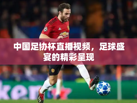 中国足协杯直播视频，足球盛宴的精彩呈现