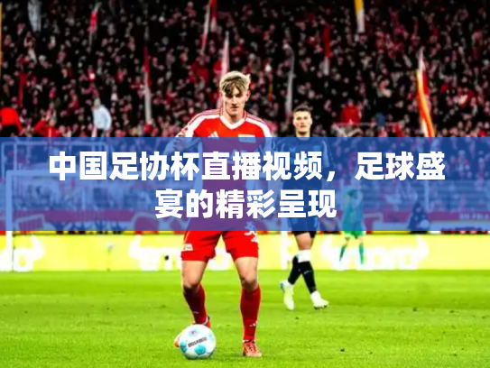 中国足协杯直播视频，足球盛宴的精彩呈现
