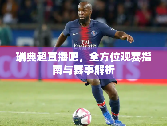 瑞典超直播吧，全方位观赛指南与赛事解析