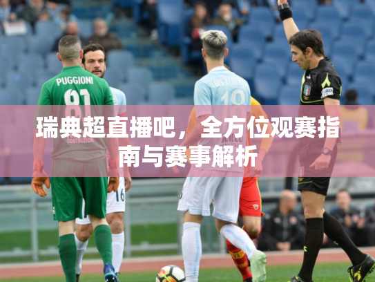瑞典超直播吧，全方位观赛指南与赛事解析