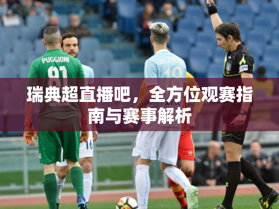 瑞典超直播吧，全方位观赛指南与赛事解析