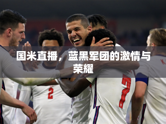 国米直播，蓝黑军团的激情与荣耀