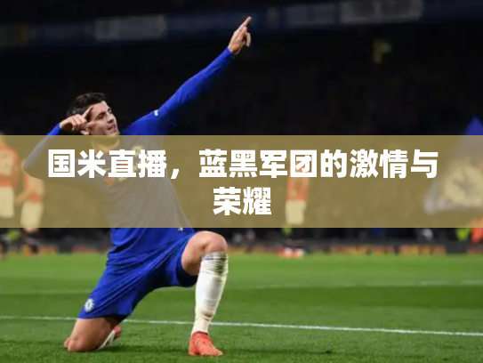 国米直播，蓝黑军团的激情与荣耀