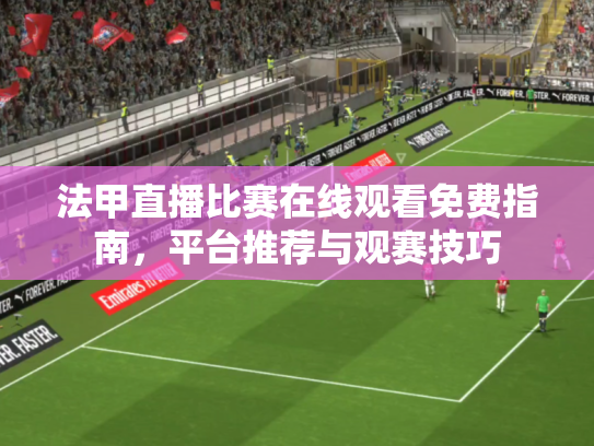 法甲直播比赛在线观看免费指南，平台推荐与观赛技巧