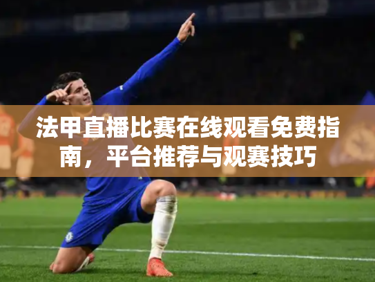 法甲直播比赛在线观看免费指南，平台推荐与观赛技巧