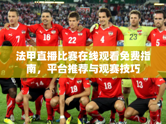 法甲直播比赛在线观看免费指南，平台推荐与观赛技巧
