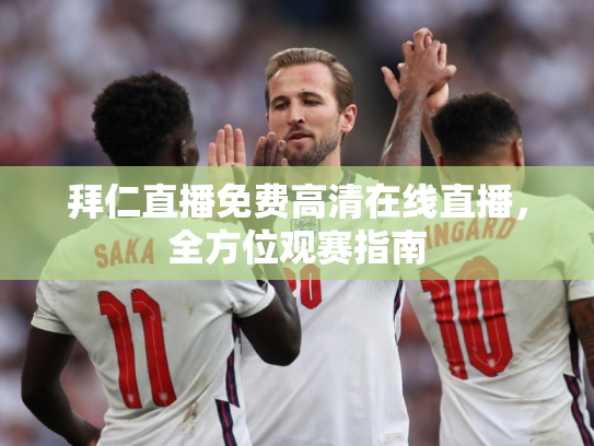 拜仁直播免费高清在线直播，全方位观赛指南