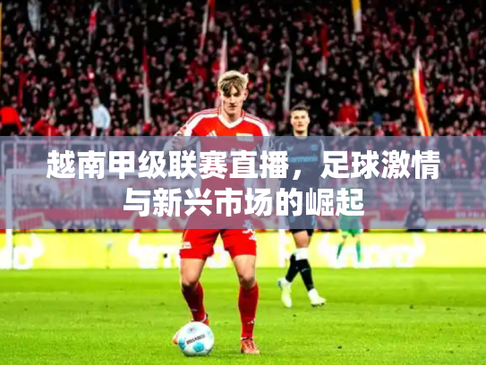 越南甲级联赛直播，足球激情与新兴市场的崛起