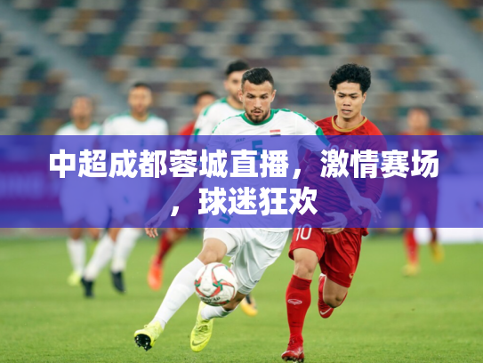 中超成都蓉城直播，激情赛场，球迷狂欢