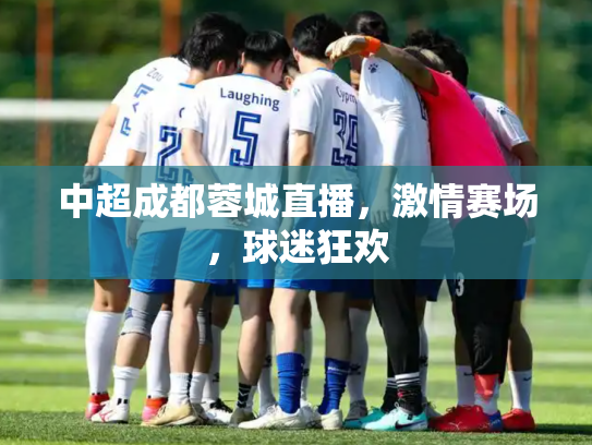 中超成都蓉城直播，激情赛场，球迷狂欢