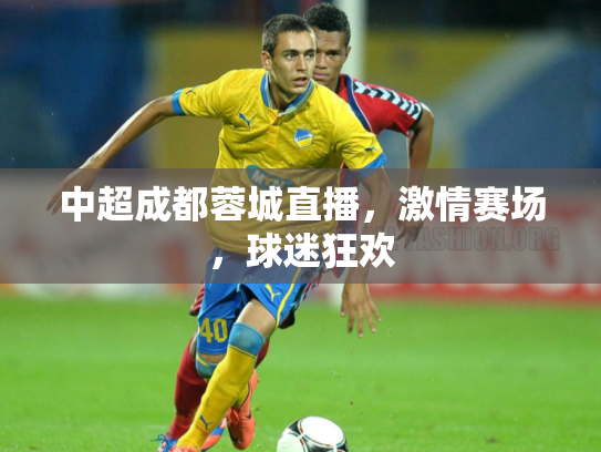 中超成都蓉城直播，激情赛场，球迷狂欢