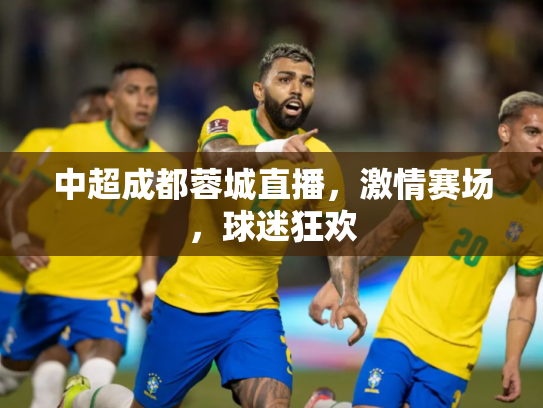 中超成都蓉城直播，激情赛场，球迷狂欢