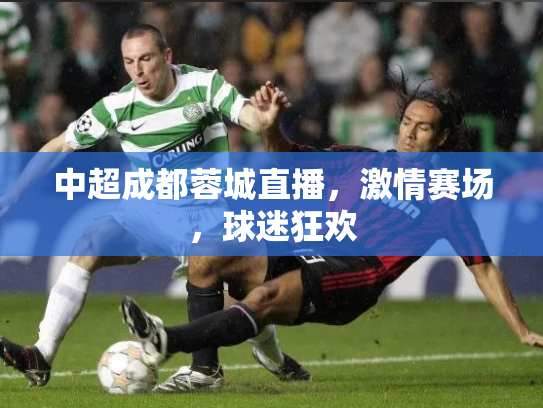 中超成都蓉城直播，激情赛场，球迷狂欢