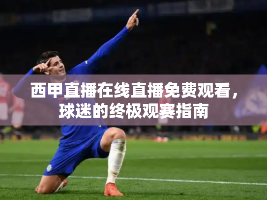 西甲直播在线直播免费观看，球迷的终极观赛指南