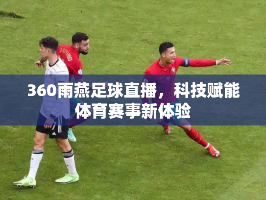 360雨燕足球直播，科技赋能体育赛事新体验