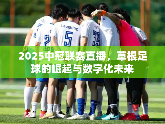 2025中冠联赛直播，草根足球的崛起与数字化未来
