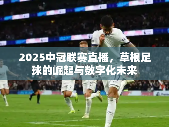 2025中冠联赛直播，草根足球的崛起与数字化未来
