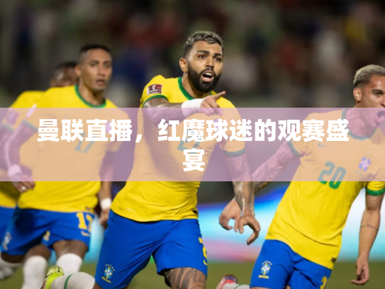 曼联直播，红魔球迷的观赛盛宴