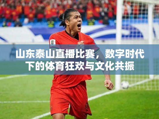 山东泰山直播比赛，数字时代下的体育狂欢与文化共振