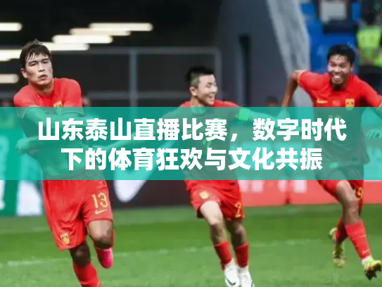 山东泰山直播比赛，数字时代下的体育狂欢与文化共振