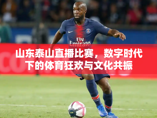 山东泰山直播比赛，数字时代下的体育狂欢与文化共振