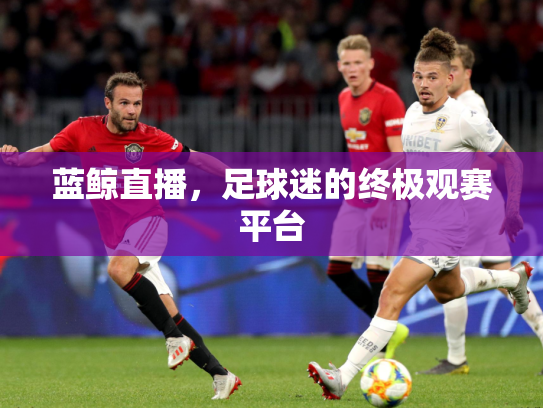 蓝鲸直播，足球迷的终极观赛平台