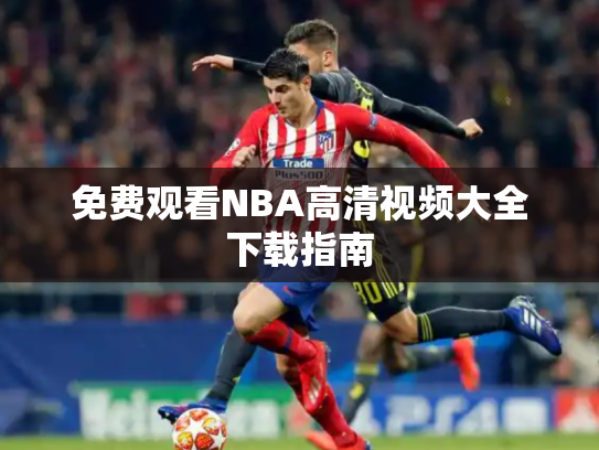 免费观看NBA高清视频大全下载指南