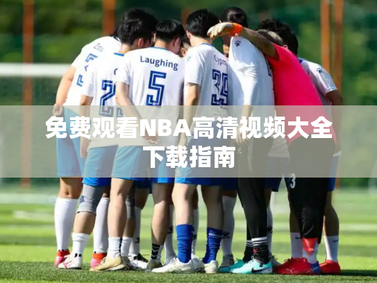 免费观看NBA高清视频大全下载指南