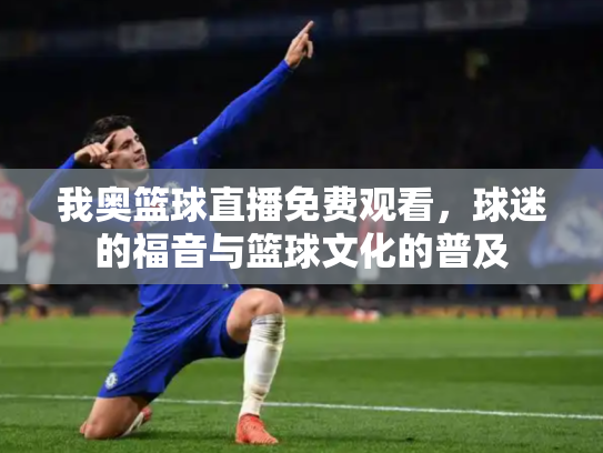 我奥篮球直播免费观看，球迷的福音与篮球文化的普及