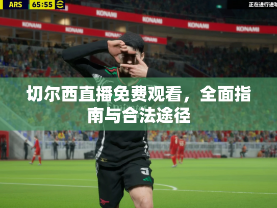 切尔西直播免费观看，全面指南与合法途径