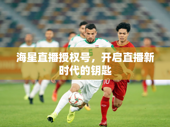 海星直播授权号，开启直播新时代的钥匙