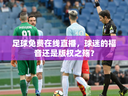 足球免费在线直播，球迷的福音还是版权之殇？