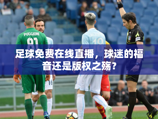 足球免费在线直播，球迷的福音还是版权之殇？