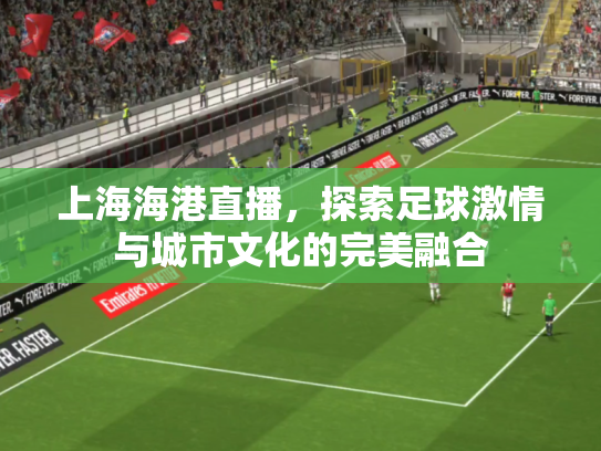 上海海港直播，探索足球激情与城市文化的完美融合