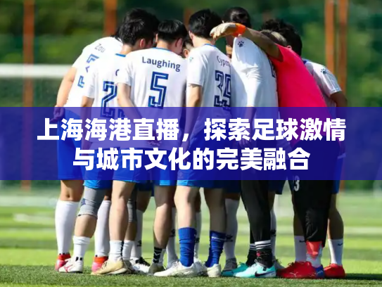上海海港直播，探索足球激情与城市文化的完美融合