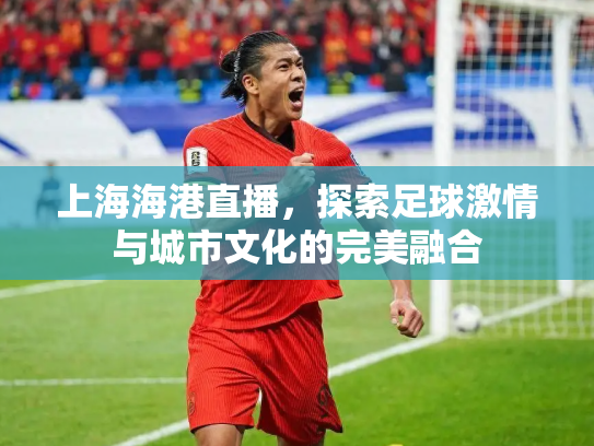 上海海港直播，探索足球激情与城市文化的完美融合
