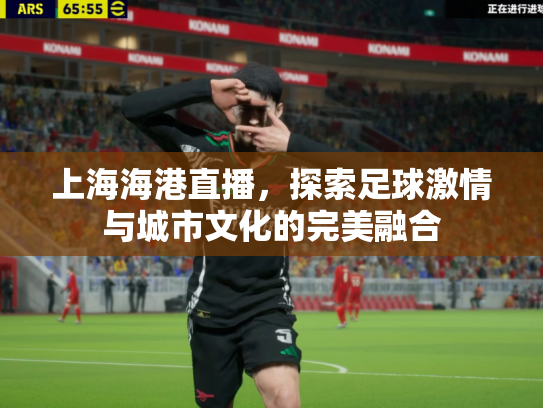 上海海港直播，探索足球激情与城市文化的完美融合